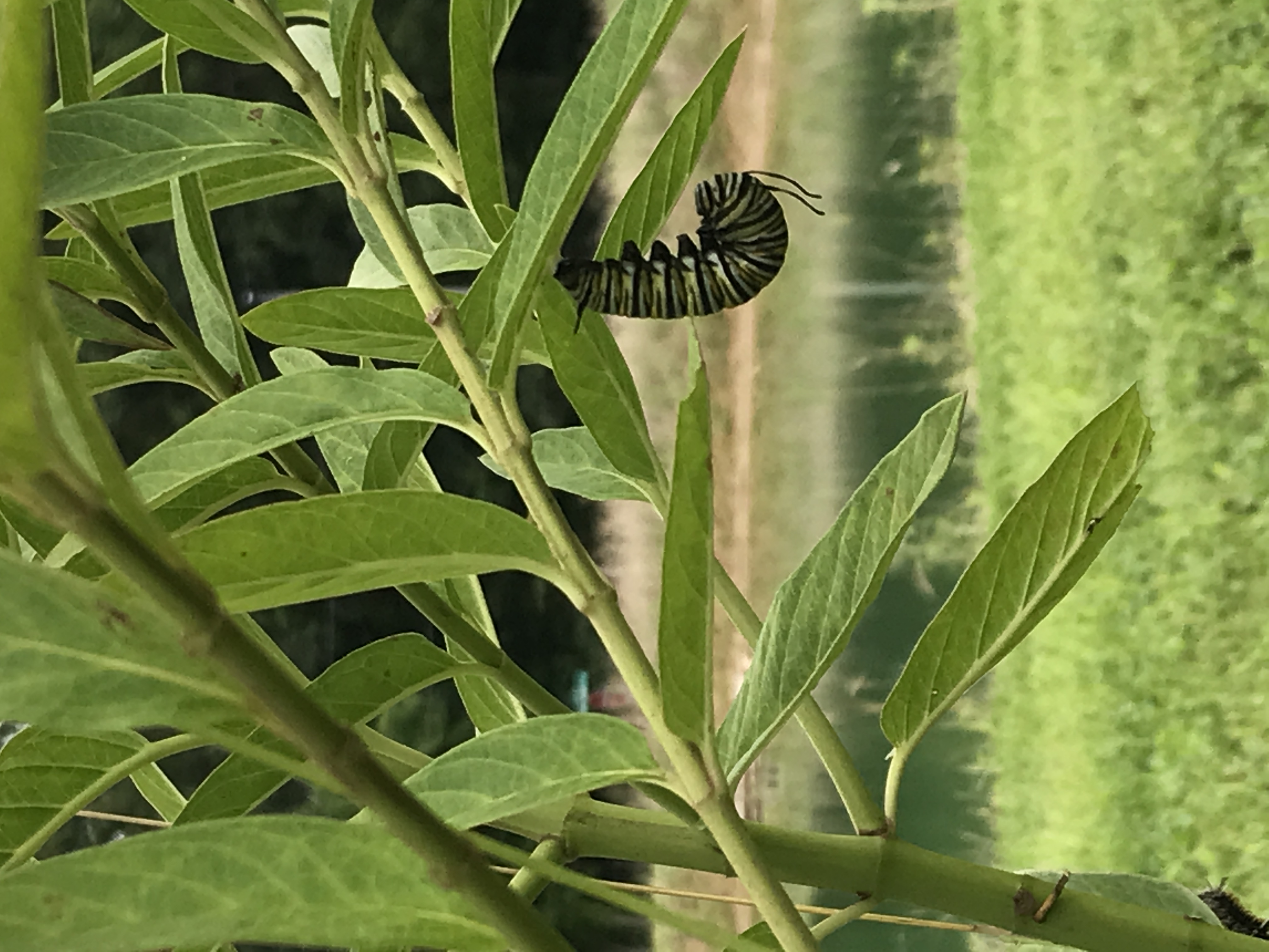 Oops! We missed one!