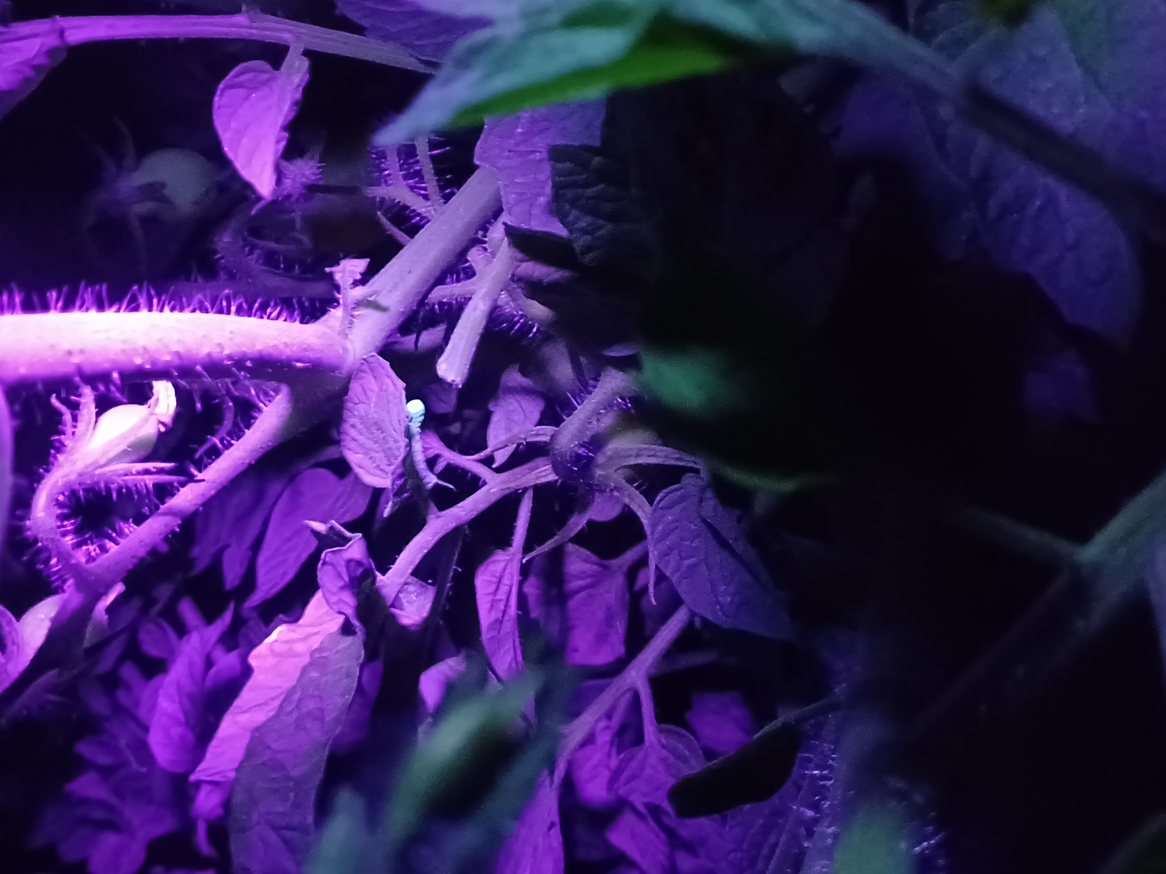 One of the small ones we found.